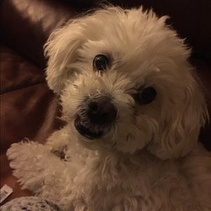 Meet your Posher, Nancy